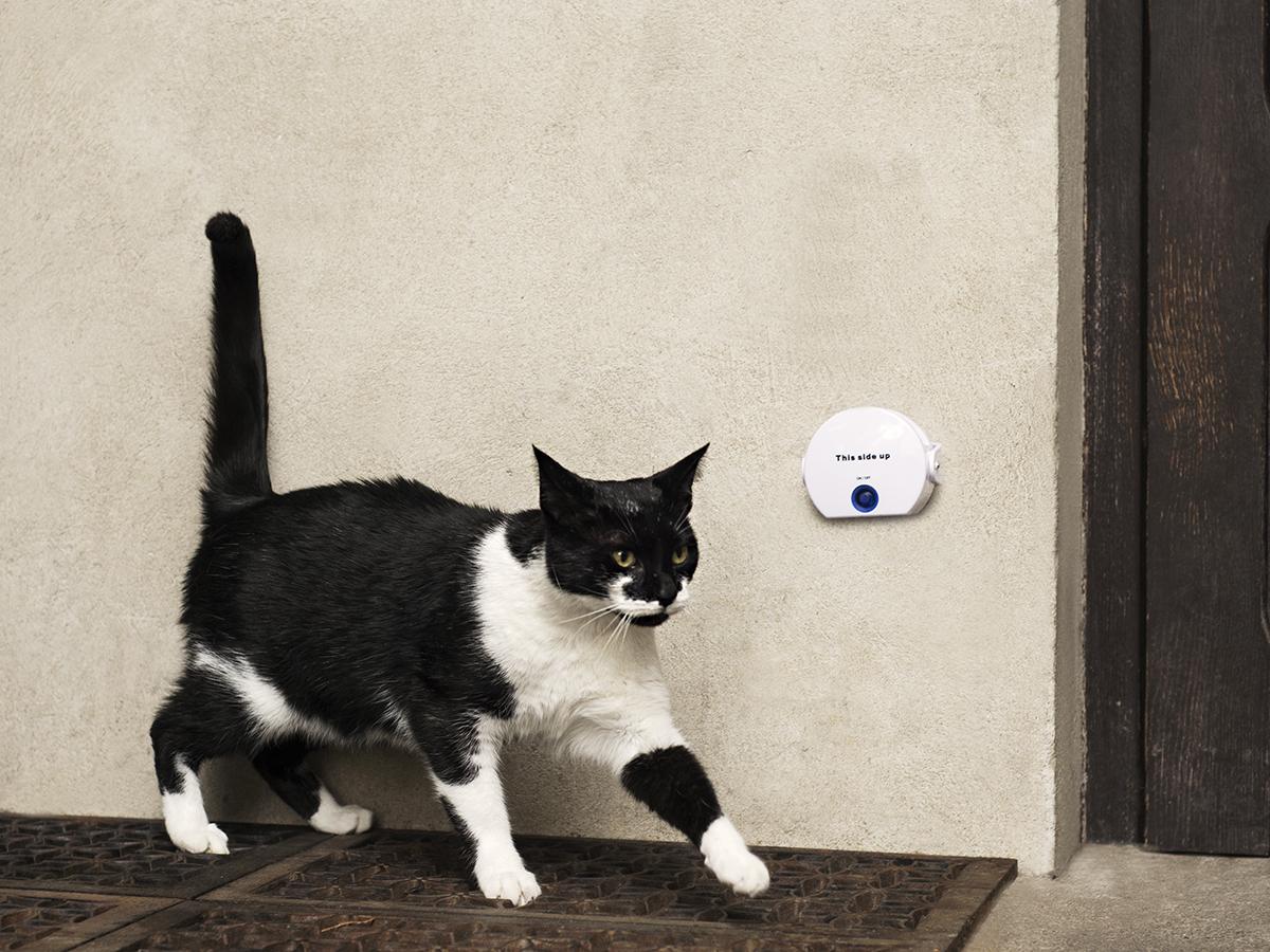 Kattendeurbel Cat DoorBell Kattenluik Kopen CoolGift